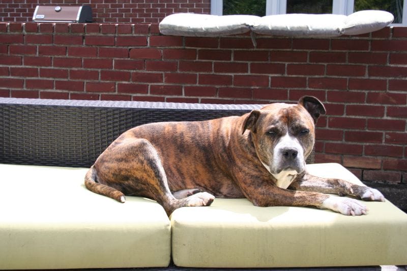 Hanging Out by the Pool
